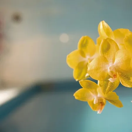 Haus Wandl Seefeld in Tirol